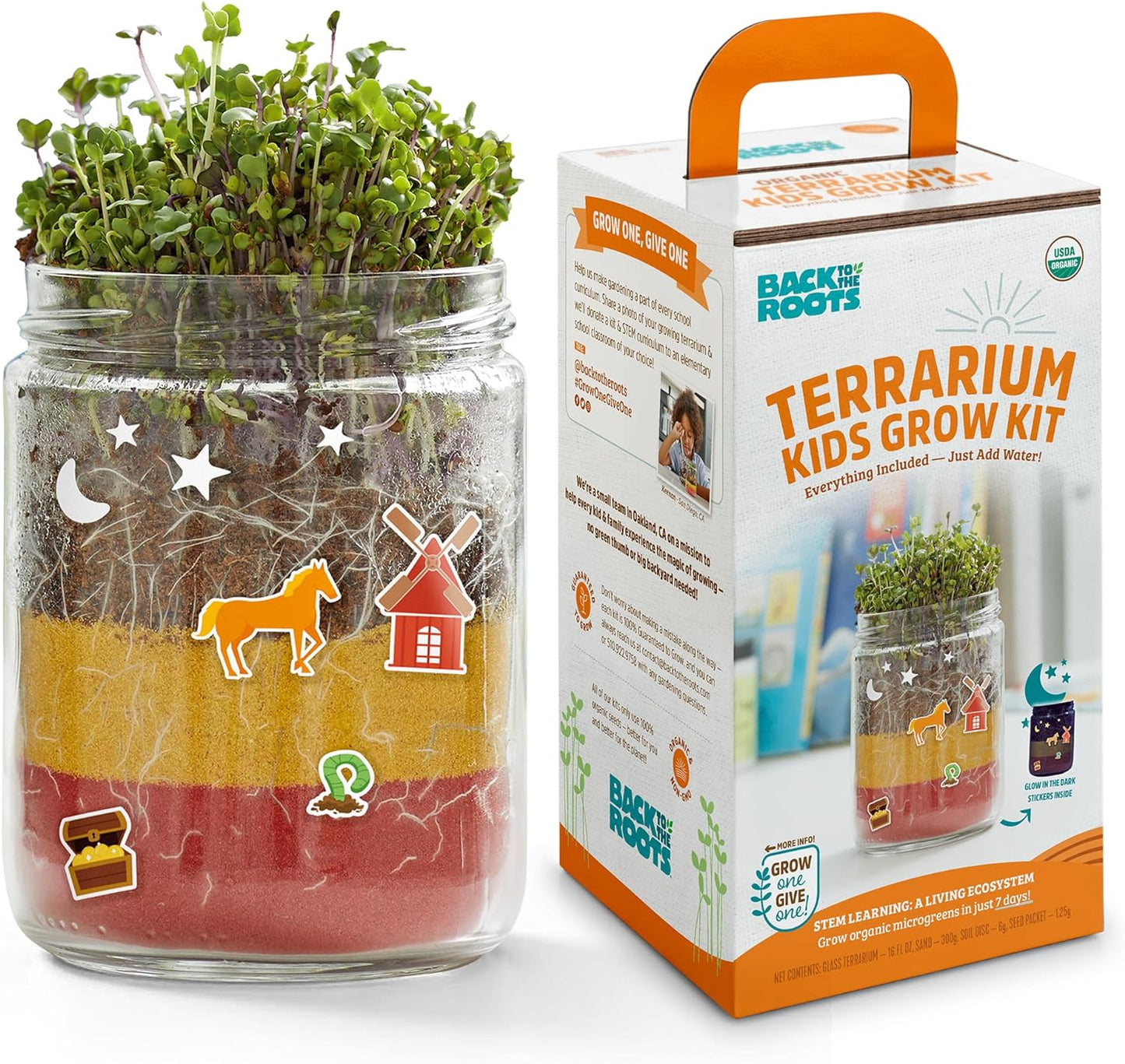 Back to the Roots Organic Kids Terrarium Grow Kit - Easy-to-Use DIY Set for All Ages