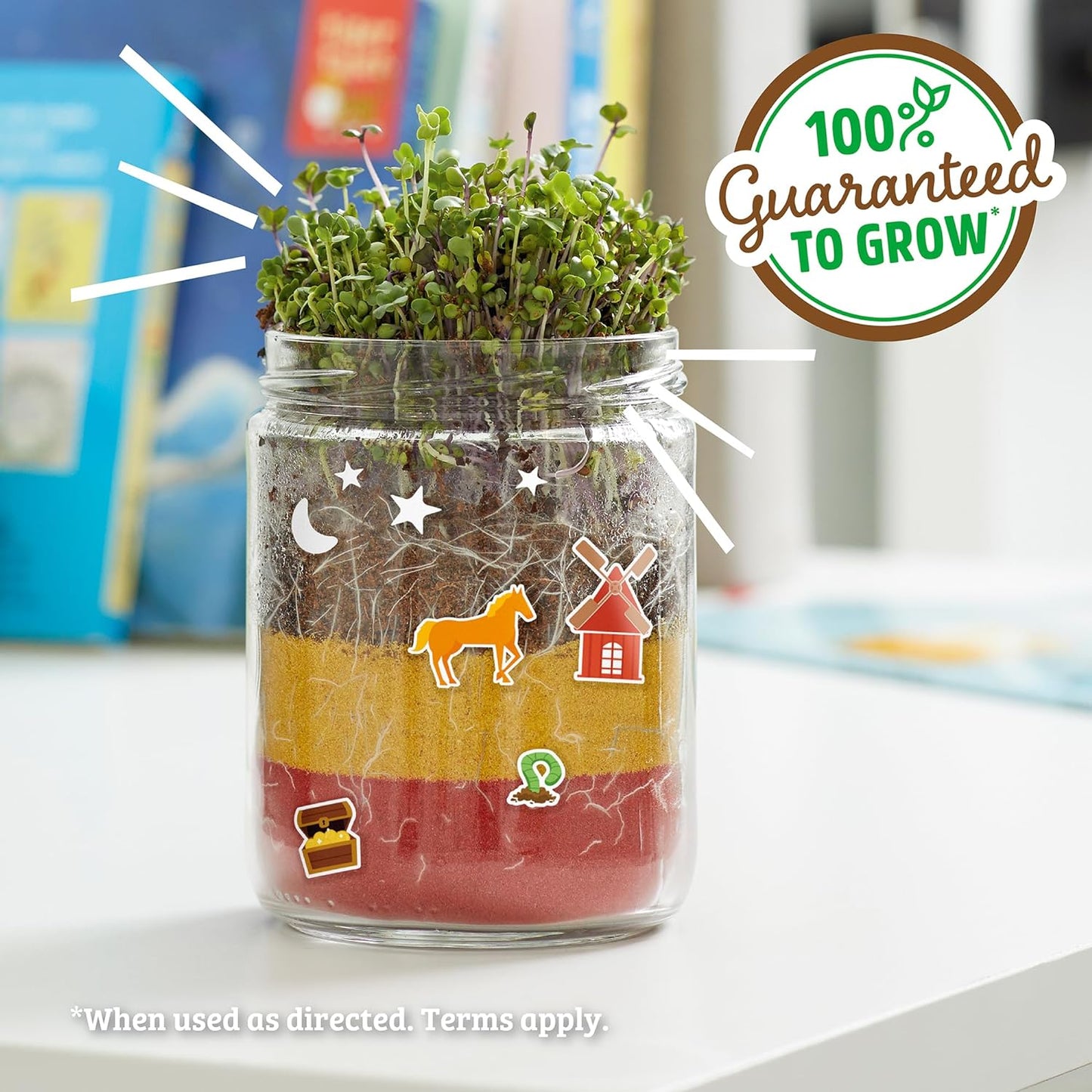 Back to the Roots Organic Kids Terrarium Grow Kit - Easy-to-Use DIY Set for All Ages