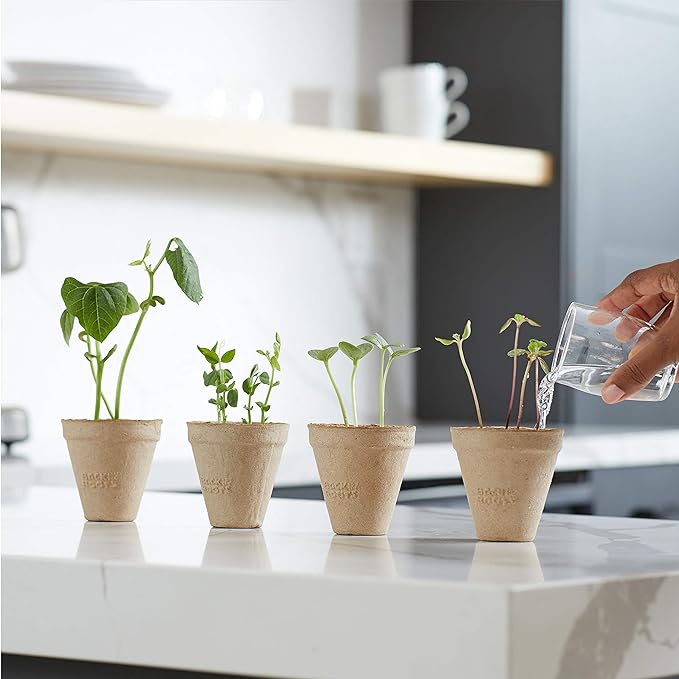 Back to the Roots Science Grow Kit - Beans & Watermelon