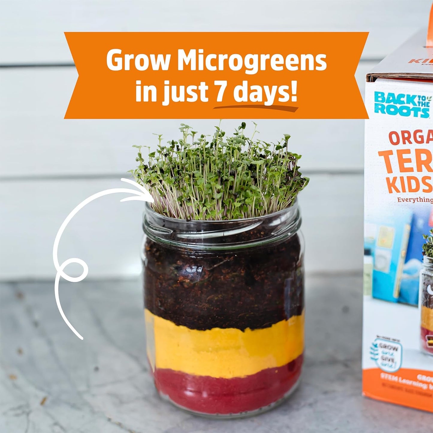 Back to the Roots Organic Kids Terrarium Grow Kit - Easy-to-Use DIY Set for All Ages