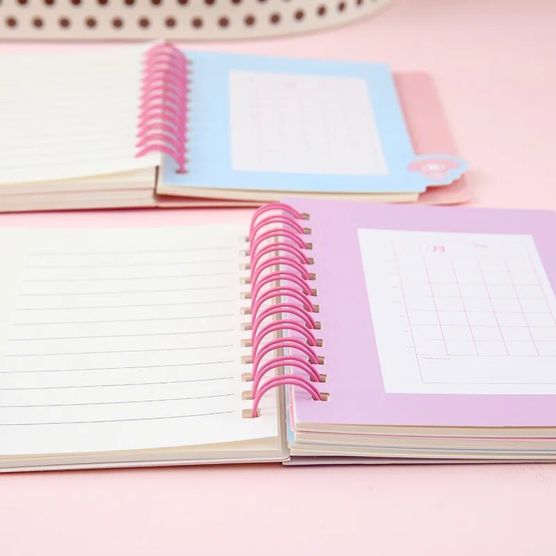 Sanrio Diary Notebooks