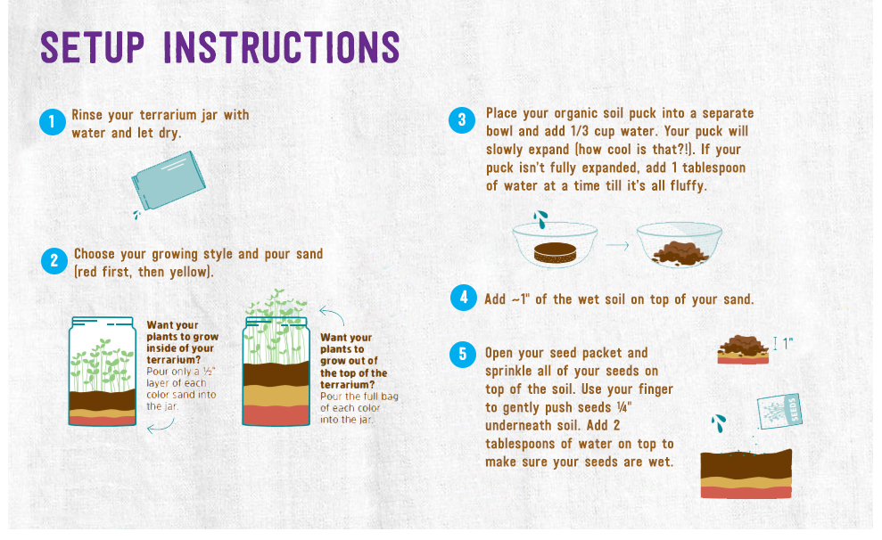 Back to the Roots Organic Kids Terrarium Grow Kit - Easy-to-Use DIY Set for All Ages