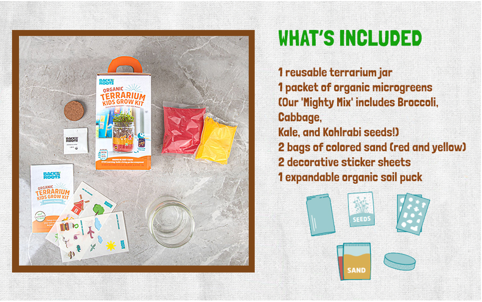 Back to the Roots Organic Kids Terrarium Grow Kit - Easy-to-Use DIY Set for All Ages