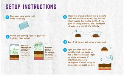 Back to the Roots Organic Kids Terrarium Grow Kit - Easy-to-Use DIY Set for All Ages
